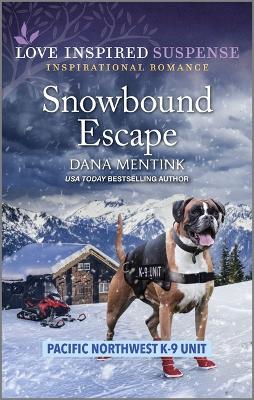 Snowbound Escape book