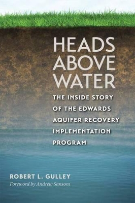 Heads above Water book