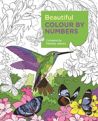 Beautiful Colour by Numbers book