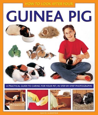 How to Look After Your Guinea Pig book