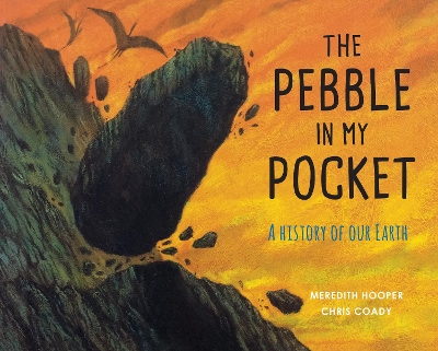 Pebble in My Pocket book