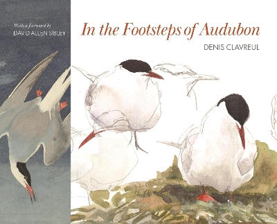 In the Footsteps of Audubon by David Allen Sibley