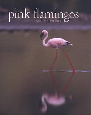 Pink Flamingos book