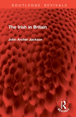 The Irish in Britain book