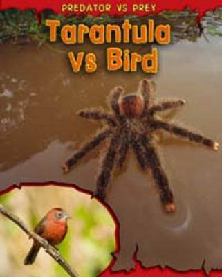 Tarantula vs Bird book