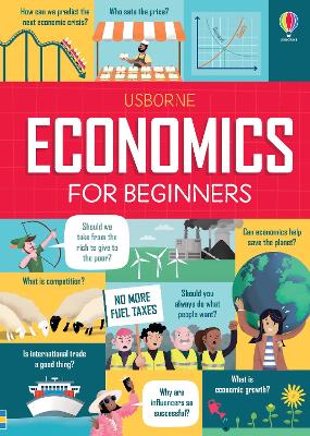 Economics for Beginners book