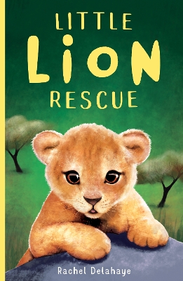 Little Lion Rescue book