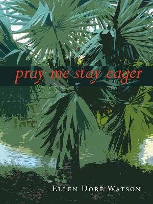 Pray Me Stay Eager book