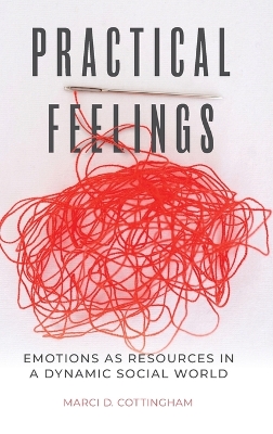 Practical Feelings: Emotions as Resources in a Dynamic Social World by Marci D. Cottingham