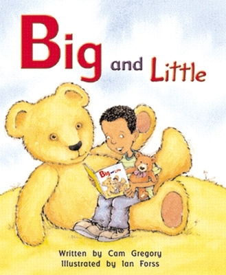 Big and Little book