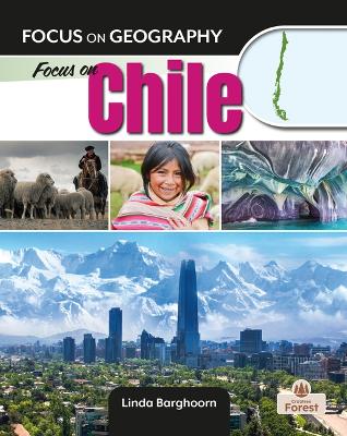 Focus on Chile by Linda Barghoorn