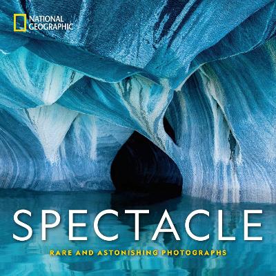 Spectacle: Photographs of the Astonishing book