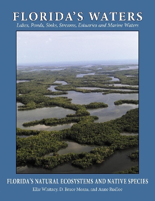 Florida's Waters book