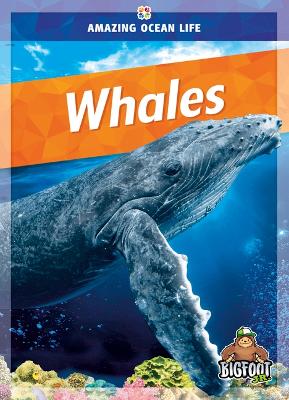 Amazing Ocean Life: Whales book