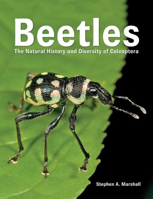 Beetles: The Natural History and Diversity of Coleoptera: 2018 book