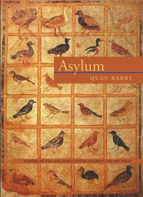 Asylum book