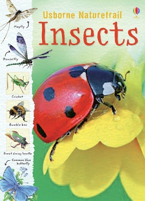 Naturetrail Insects book