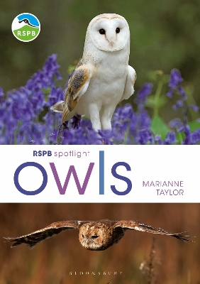 RSPB Spotlight Owls book