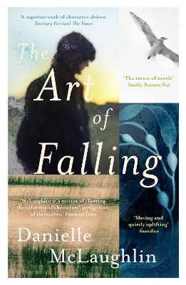 The Art of Falling by Danielle McLaughlin