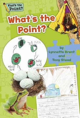 Grade 1 Big Book book