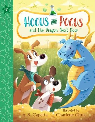 Hocus and Pocus and the Dragon Next Door book