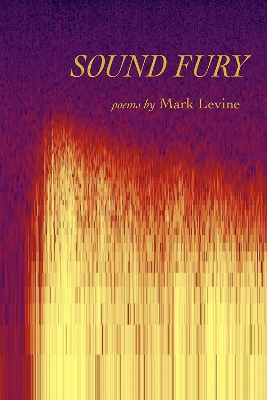 Sound Fury: Poems book