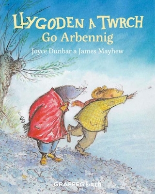 Llygoden a Twrch Go Arbennig by Joyce Dunbar