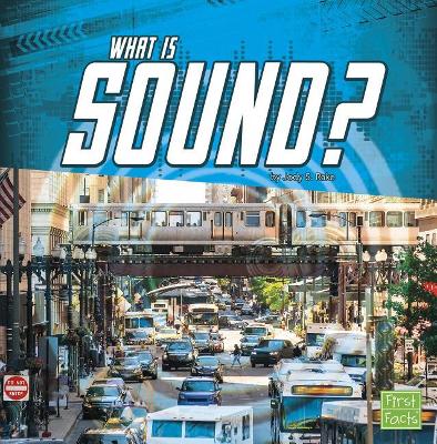 What Is Sound? by Jody S. Rake