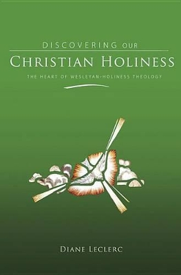Discovering Christian Holiness book