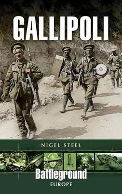 Gallipoli book