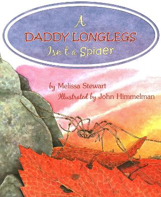 A Daddy Longlegs Isn't a Spider book