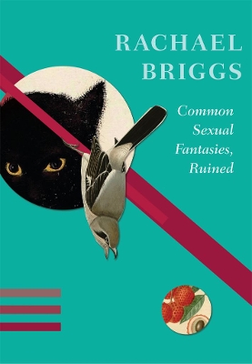 Common Sexual Fantasies, Ruined book
