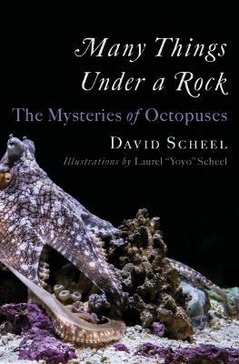 Many Things Under a Rock: The Mysteries of Octopuses by David Scheel