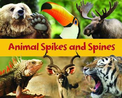 Animal Spikes and Spines by Rebecca Rissman