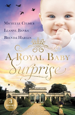 Royal Baby Surprise/The Illegitimate Prince's Baby/How To Catch A Prince/The Prince's Second Chance book