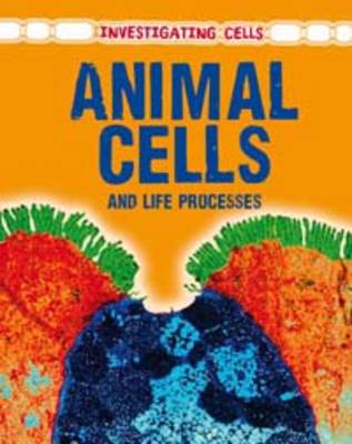 Animal Cells and Life Processes by Barbara A Somervill