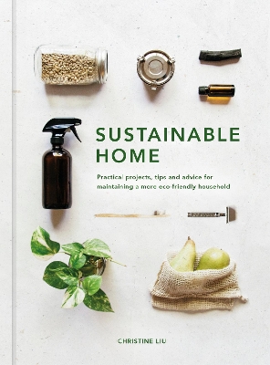 Sustainable Home: Practical projects, tips and advice for maintaining a more eco-friendly household: Volume 1 book