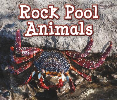 Rock Pool Animals book