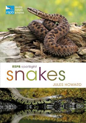 RSPB Spotlight Snakes book
