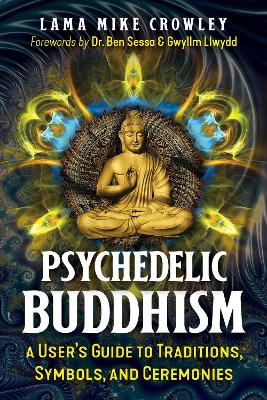Psychedelic Buddhism: A User's Guide to Traditions, Symbols, and Ceremonies book
