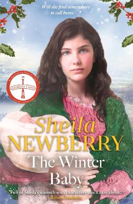 The The Winter Baby: A perfect, heartwarming winter story from the Queen of Family Saga by Sheila Newberry