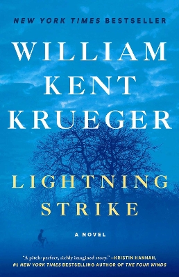 Lightning Strike: A Novel: Volume 18 book