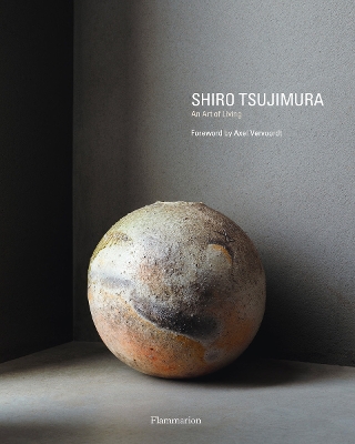 Shiro Tsujimura book