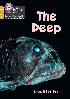 Big Cat Phonics for Little Wandle Letters and Sounds Revised – Age 7+ – The Deep: Phase 5 Set 4 book