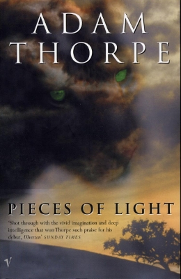 Pieces Of Light book