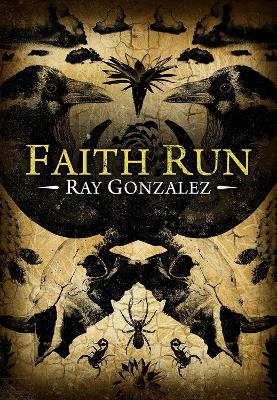 Faith Run book