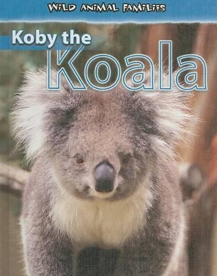 Koby the Koala by Jan Latta