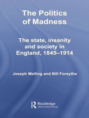 Politics of Madness book
