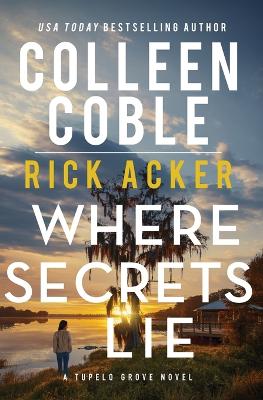 Where Secrets Lie book