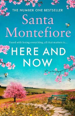 Here and Now: Evocative, emotional and full of life, the most moving book you'll read this year book